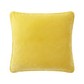 Iosis Divan Decorative Pillow