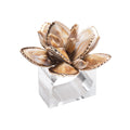 Beachcomber Napkin Ring in Natural