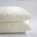 Silk Pillow with Silk Shell